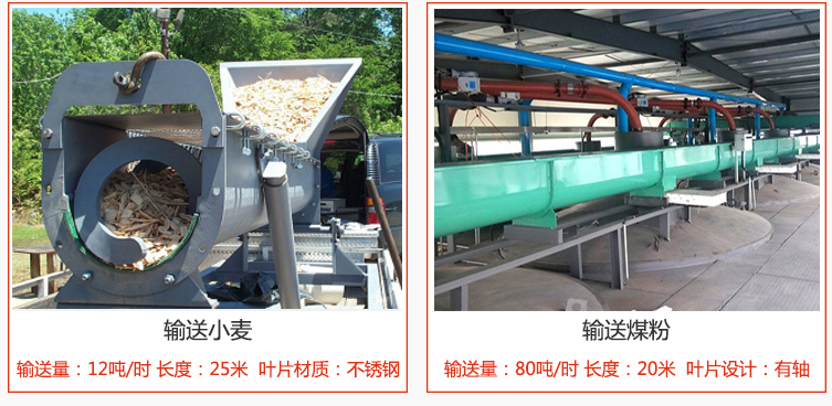 絞龍螺旋輸送機(jī)輸送小麥輸送量在12噸/時(shí)，長度為25米，葉片采用不銹鋼材質(zhì)；輸送水泥輸送量在80噸/時(shí)，長度為20米，葉片設(shè)計(jì)為有軸。