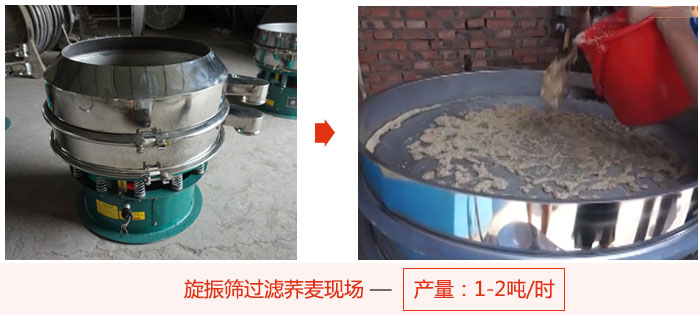 旋振篩過濾蕎麥現場，產量可達2噸每小時。